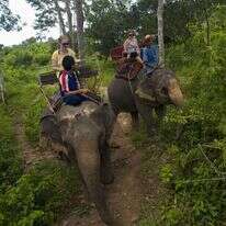 תיירים בתאילנד. | גטי אימג'ס