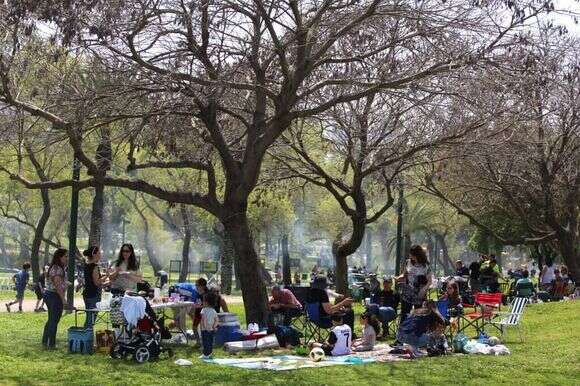 מנגלים בתל אביב | אבישג שאר-ישוב