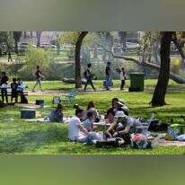 מנגלים בתל אביב | אבישג שאר-ישוב