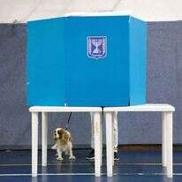 מצביע בקלפי. | AP