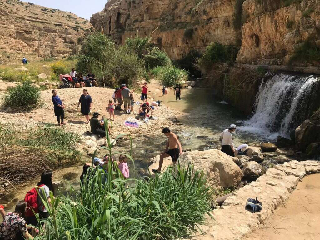 עין מבוע. | תמר גומאה, רשות הטבע והגנים