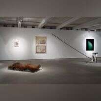 התערוכה עסק ביש. | אלעד שריג