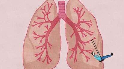 איור: שרון ארדיטי איור: שרון ארדיטי