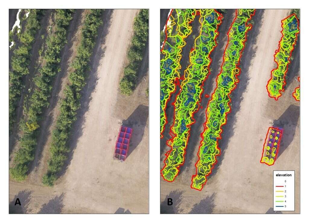 חיישנים שמאפשרים לראות איך כל עץ וצמח מרגישים. | של רחפן עם אלגוריתם של בינה מלאכותית.