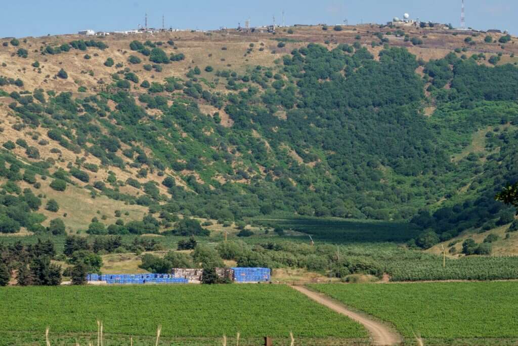 בלי חקלאות בפריפריה, התעשייה בתל־אביב תעלה על גדותיה. שדות גידולים ברמת הגולן. | אנצ'ו ג'וש - ג'יני