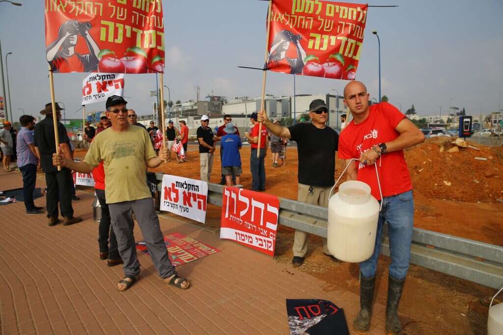"כמעט כל המדינות המתקדמות מבינות שצריך לסבסד חקלאות. חוץ מישראל". הפגנת חקלאים, 2015. | לירון מולדובן