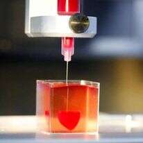 חוקרים באוניברסיטת תל-אביב הצליחו ליצור לב אנושי במדפסת תלת-ממד. | AFP