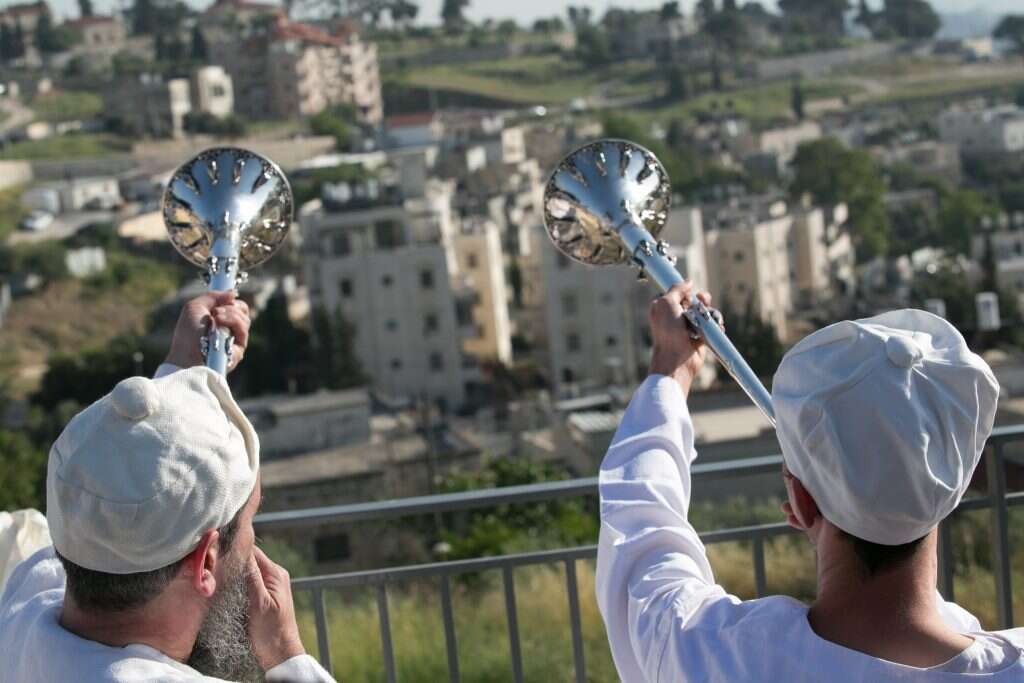 זכות או חובה? מתוך טקס הדמיית קרבן פסח בעיר העתיקה, תשע"ז. | דויד מיכאל כהן/TPS