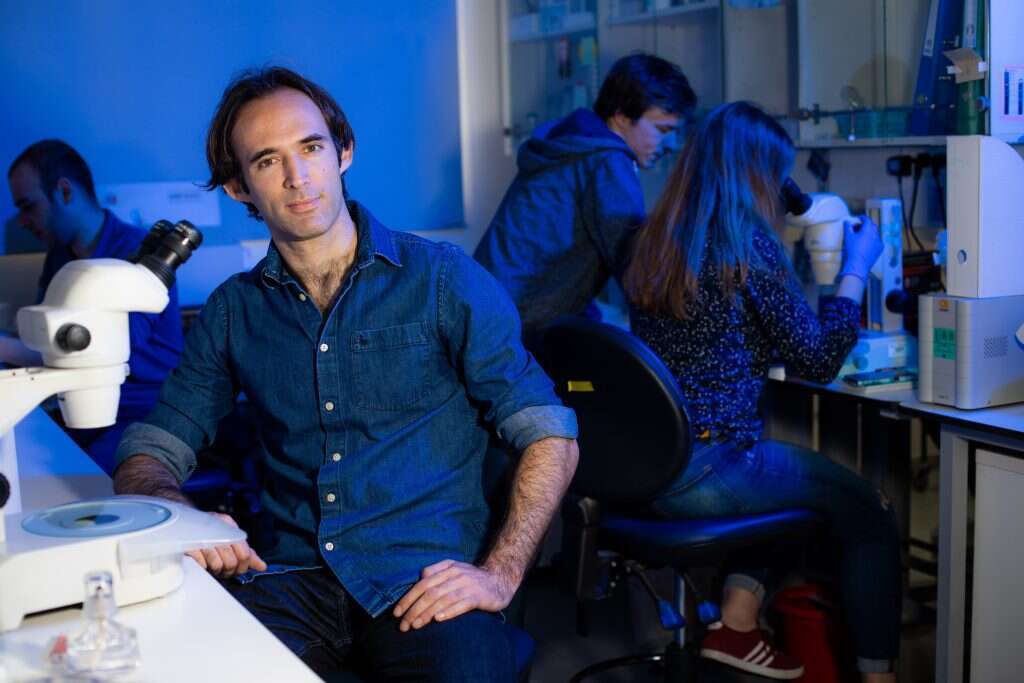 הבחירה הוכיחה את עצמה. פרופ' עודד רכבי. | אריק סולטן