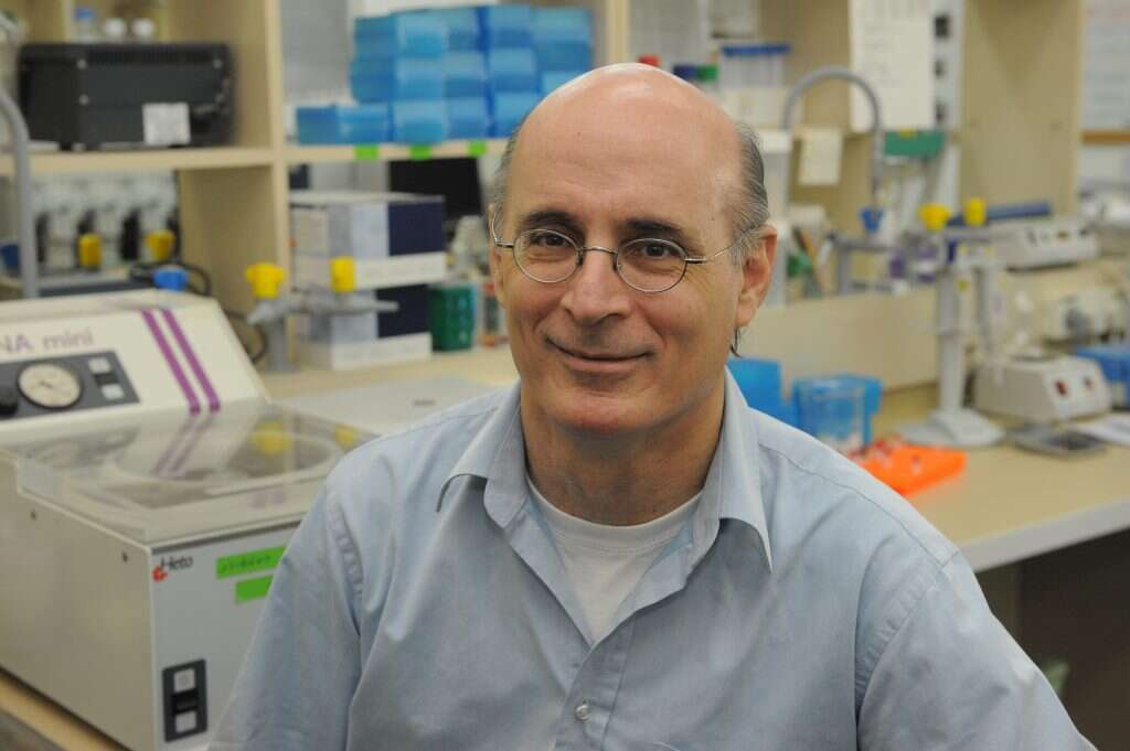 תחומים נושקים. פרופ' גידי רכבי. | יחידת