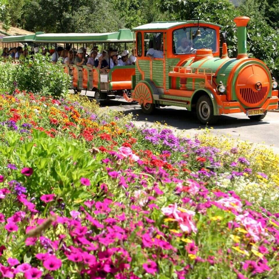 הגן הבוטני האוניברסיטאי בגבעת רם בירושלים. | גודי מרכוס