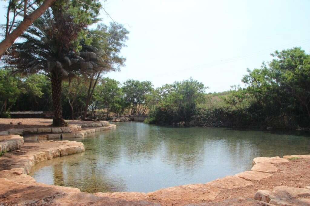 פארק המעיינות. אילוסטרציה. | דוברות המועצה האזורית עמק המעיינות