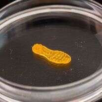 תהליך הייצור של הסוליה המתאחה. | מתיו לין, הוושינגטון פוסט