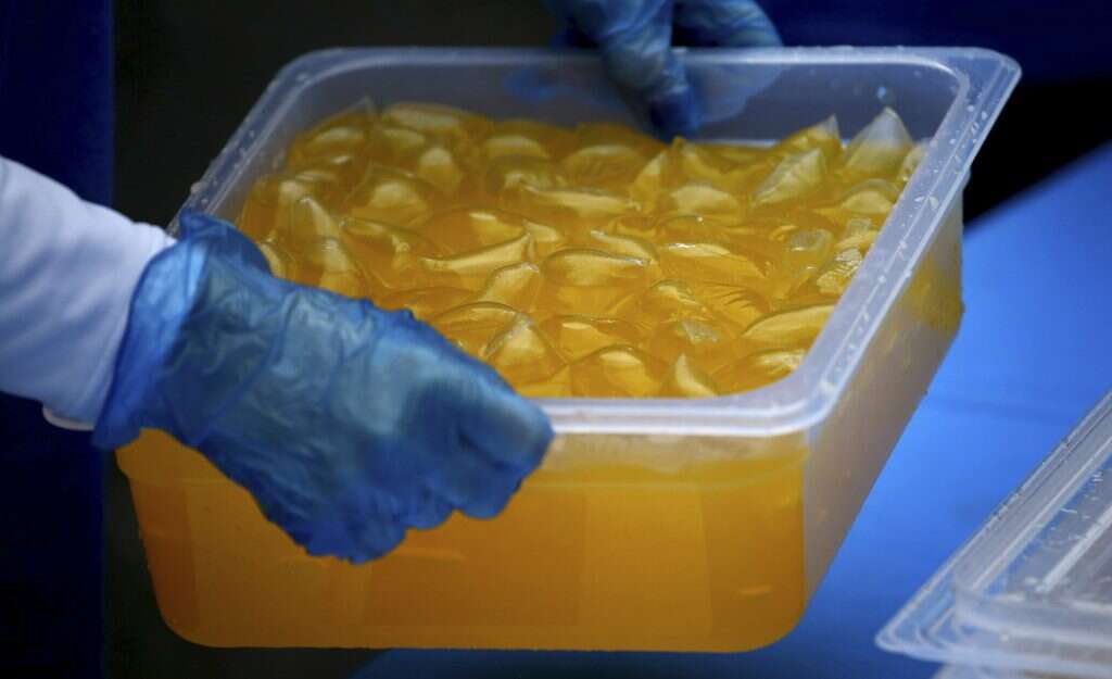 אצות לשתייה. | AP