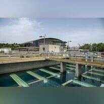 אתר אשכול. | גיל אליהו, ג'יני