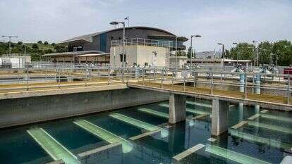 אתר אשכול. | גיל אליהו, ג'יני