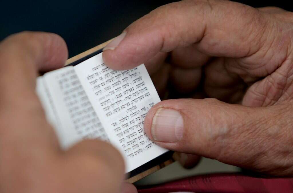 ספר תהילים. | מרים צחי
