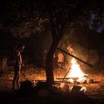 ל"ג בעומר. | הדס פרוש - פלאש 90
