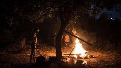 ל"ג בעומר. | הדס פרוש - פלאש 90