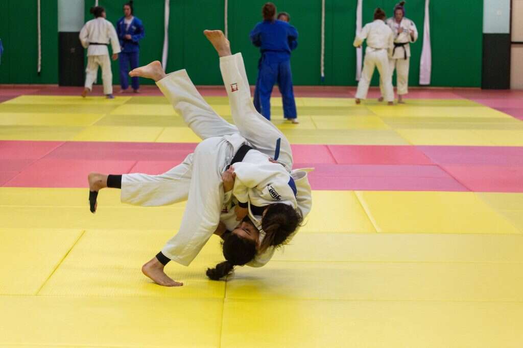 פרימו בפועלה. | אבישג שאר-ישוב