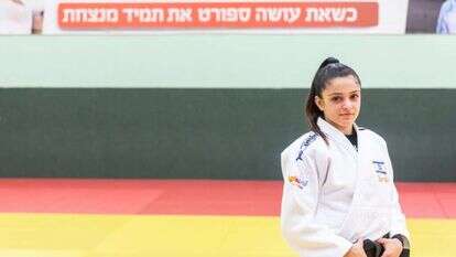 גפן פרימו. | אבישג שאר-ישוב