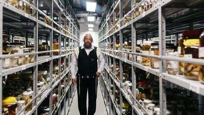 לייבעלע פרידמן, מנהל אוסף החיפושיות במוזיאון הטבע בתל־אביב. | אבישג שאר-ישוב