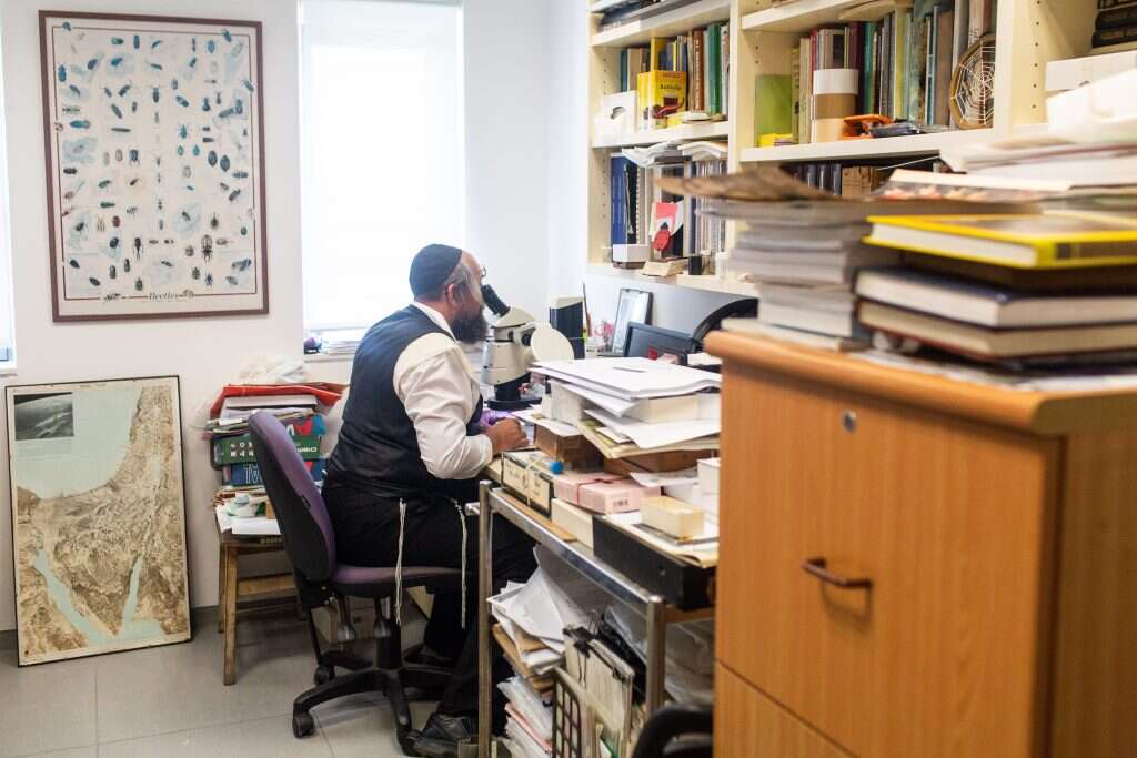 מתחרות עם האישה על תשומת הלב לייבלע. פרידמן ואוסף החיפושיות, מוזיאון הטבע בתל־אביב. | אבישג שאר-ישוב