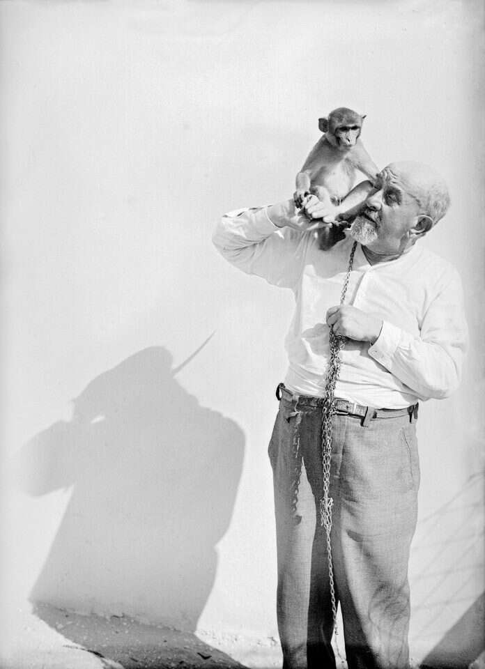 הקנוניה הביאה לחרפת רעב. הרב מרדכי שורנשטיין. | הצלמניה - רודי וינסנשטיין, באדיבות כאן 11 ודוקאביב הקנוניה הביאה לחרפת רעב. הרב מרדכי שורנשטיין. | הצלמניה - רודי וינסנשטיין, באדיבות כאן 11 ודוקאביב