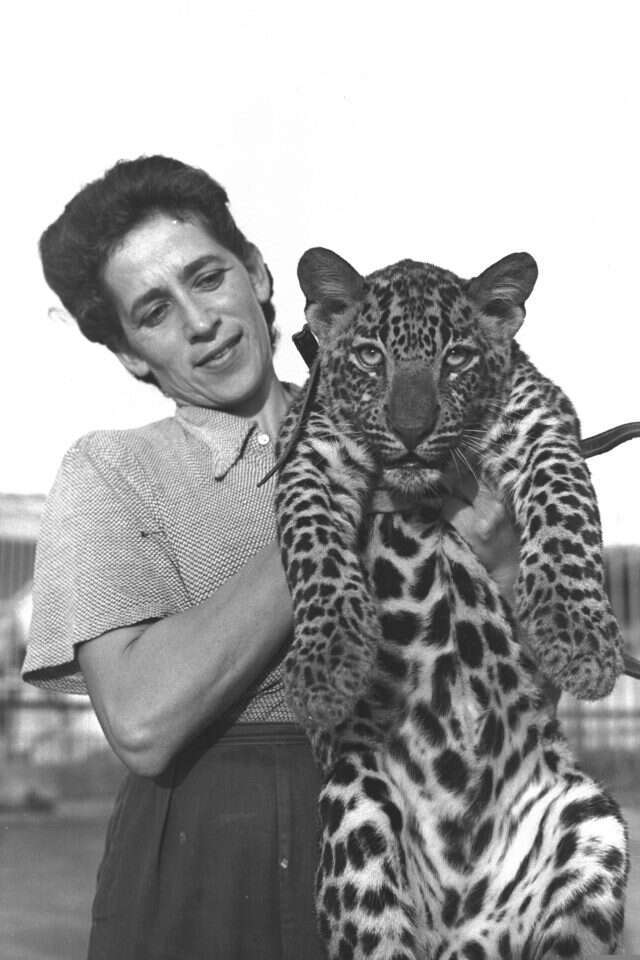 גן החיות בתל אביב. | פריץ כהן, לע"מ גן החיות בתל אביב. | פריץ כהן, לע"מ