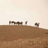 מדבר יהודה. | מרים צחי