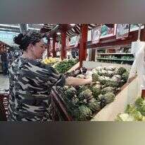 שירה פולישוק