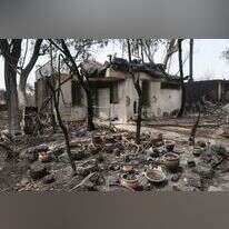 "אם היו נוטעים שם אלונים, זה לא היה קורה". נזקי השריפה במבוא מודיעים. | EPA