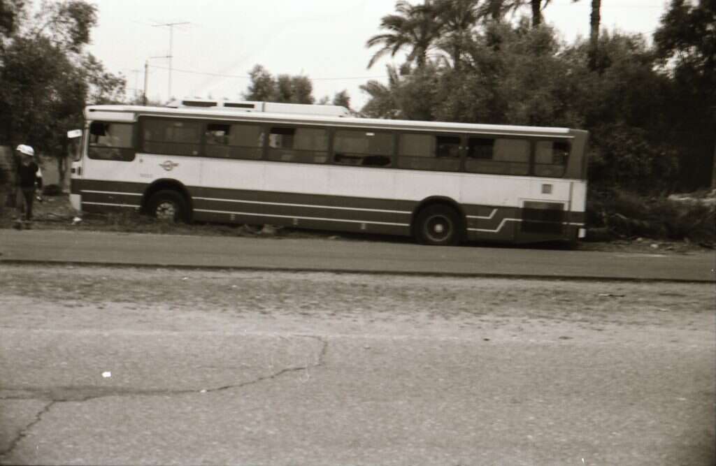 קו 300. | דודו גרינשפן