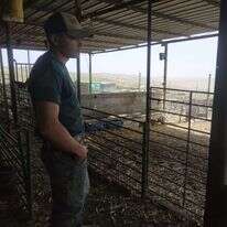 חוות טליה. | בתאל קולמן חוות טליה. | בתאל קולמן