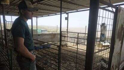 חוות טליה. | בתאל קולמן