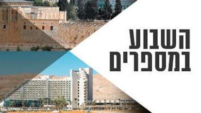 צילומים: AFP, שאטרסטוק צילומים: AFP, שאטרסטוק