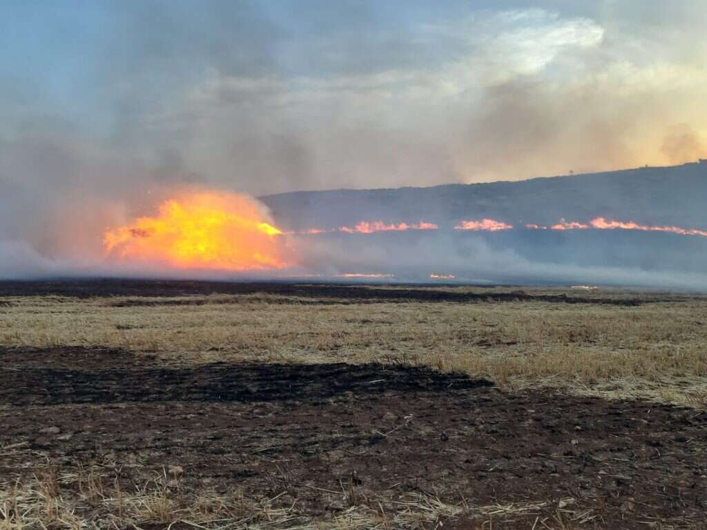 שריפה בגבעות איתמר. | תושבי גבעות איתמר