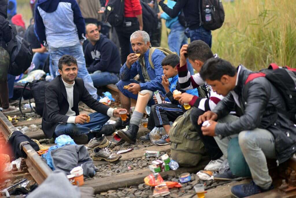 "מתי מעט המחבלים אינם סיבה לסגירת הגבולות". פליטים מדרום מזרח לבודפשט, הונגריה 2015. | EPA