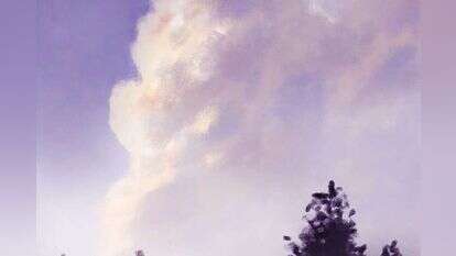 איור: מנחם הלברשטט