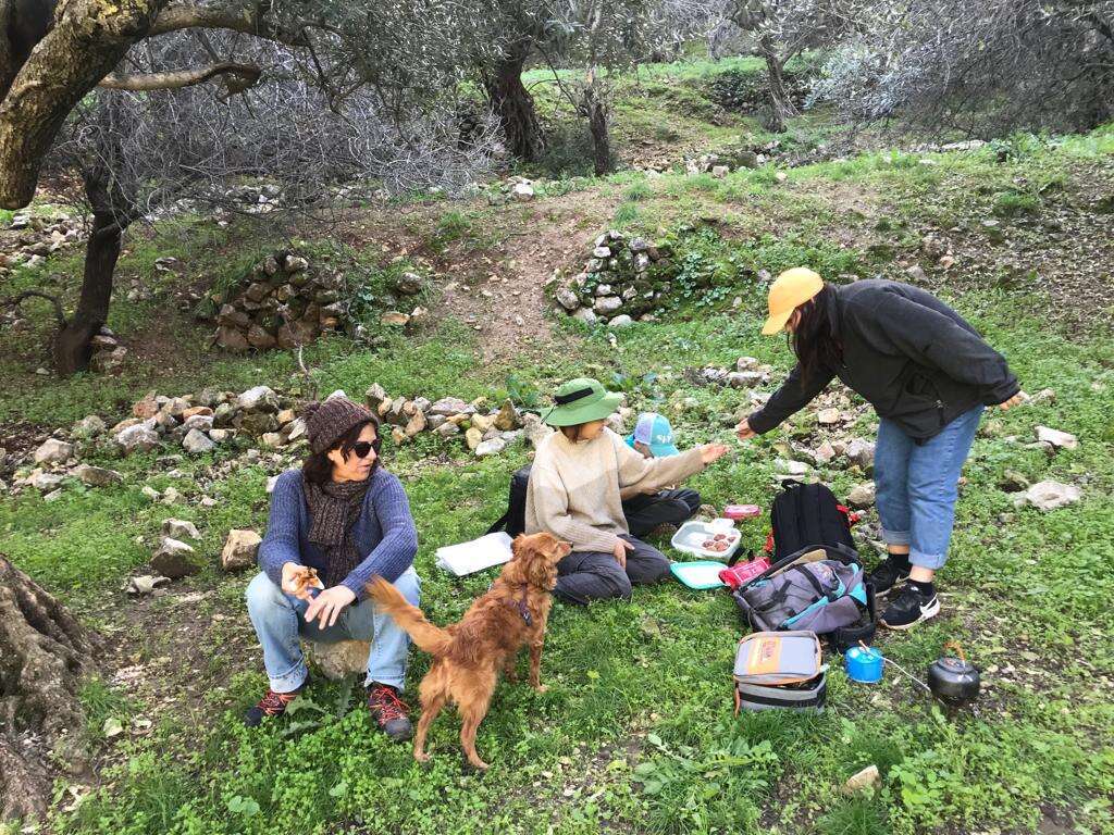 משפחת לוין. | משפחת לוין