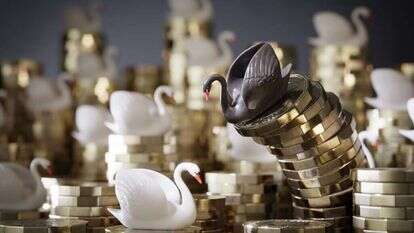 שתי משפחות מקצות הסקאלה של החברה הישראלית נפגשות באולם החתונות המפואר שבמרכזו אגם ברבורים . "אירוע הברבור השחור" | שאטרסטוק