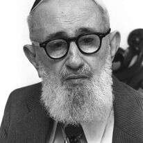 הרב יוסף דב סולובייצ'יק. | סער יעקב, לע"מ