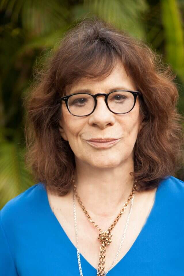 כשל שוק מובנה. רחל אלתרמן. | בן לם - אוסף פרטי כשל שוק מובנה. רחל אלתרמן. | בן לם - אוסף פרטי