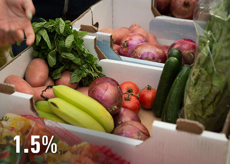 הדס פרוש, פלאש 90 הדס פרוש, פלאש 90