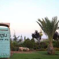 נוקדים. | מרים צחי