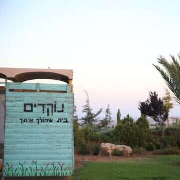נוקדים. | מרים צחי נוקדים. | מרים צחי