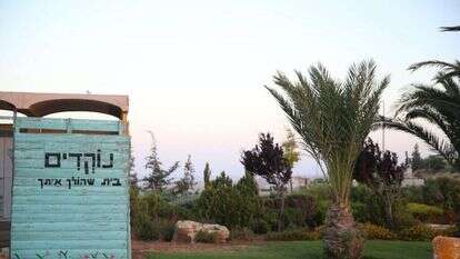 נוקדים. | מרים צחי נוקדים. | מרים צחי