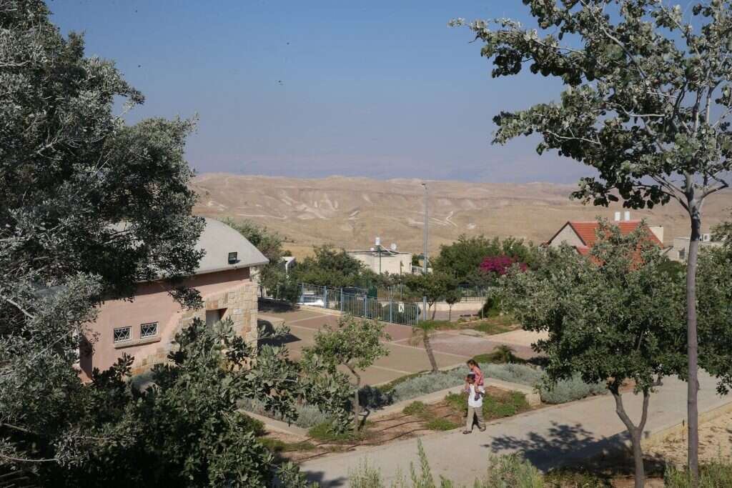 נוקדים. | מרים צחי