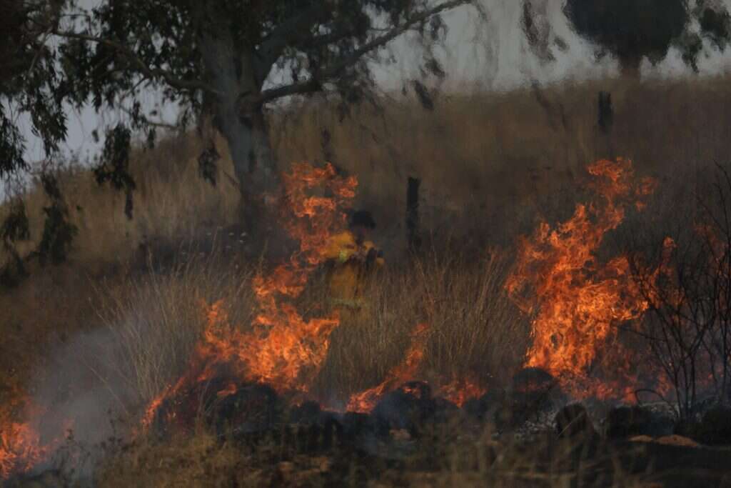 מציתי השרפות הם רק מיעוט קטן. שדות ניר־עם בוערים. | מרים צחי מציתי השרפות הם רק מיעוט קטן. שדות ניר־עם בוערים. | מרים צחי