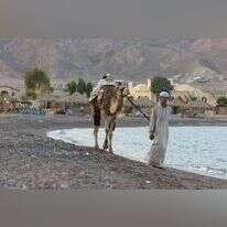 חוף הים בסיני. | יוסי זמיר, פלאש 90